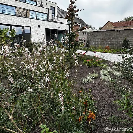 Vakantiewoning Erf64