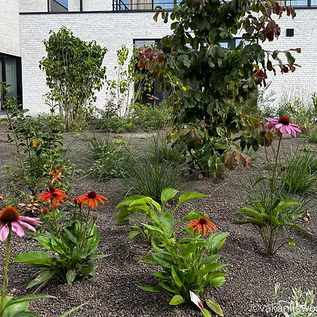 Lejlighed Vakantiewoning Erf64 *